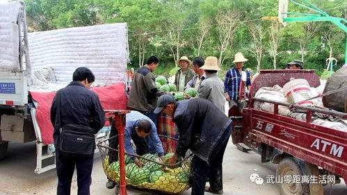 吃瓜群众岱岱 新闻,揭秘吃瓜群众背后的故事